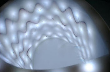 ״ͨƼ 81Їչ٬F(xin)L(fng)